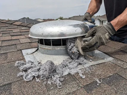 Cleaning Dryer Vent On Roof in Lakeville